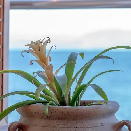 Corfu Maris 4* Бенитсес